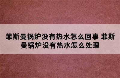 菲斯曼锅炉没有热水怎么回事 菲斯曼锅炉没有热水怎么处理